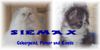 www.siemax.de